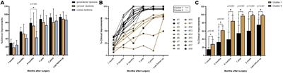 Subthalamic deep brain stimulation for primary dystonia: defining an optimal location using the medial subthalamic nucleus border as anatomical reference